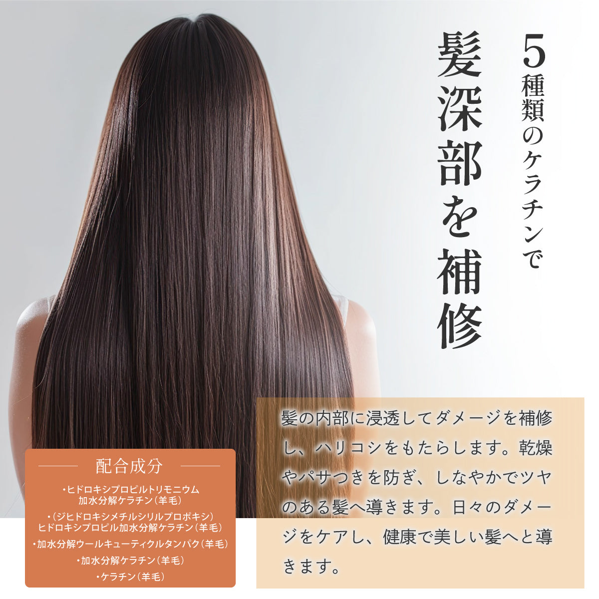PPTリペアヘアブースター