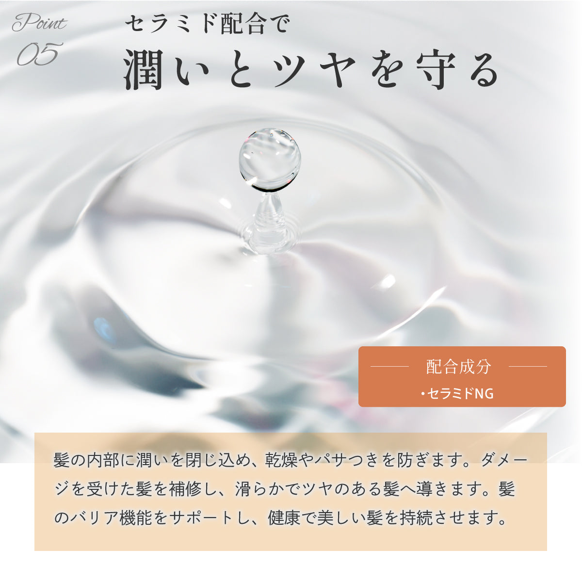 PPTリペアヘアブースター